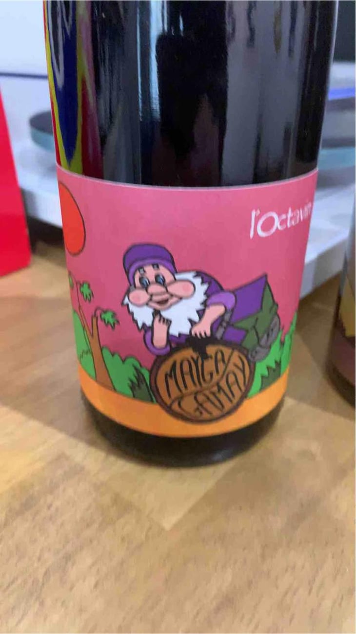 Mayga Gamay - Domaine de l'Octavin - Alice Bouvot 