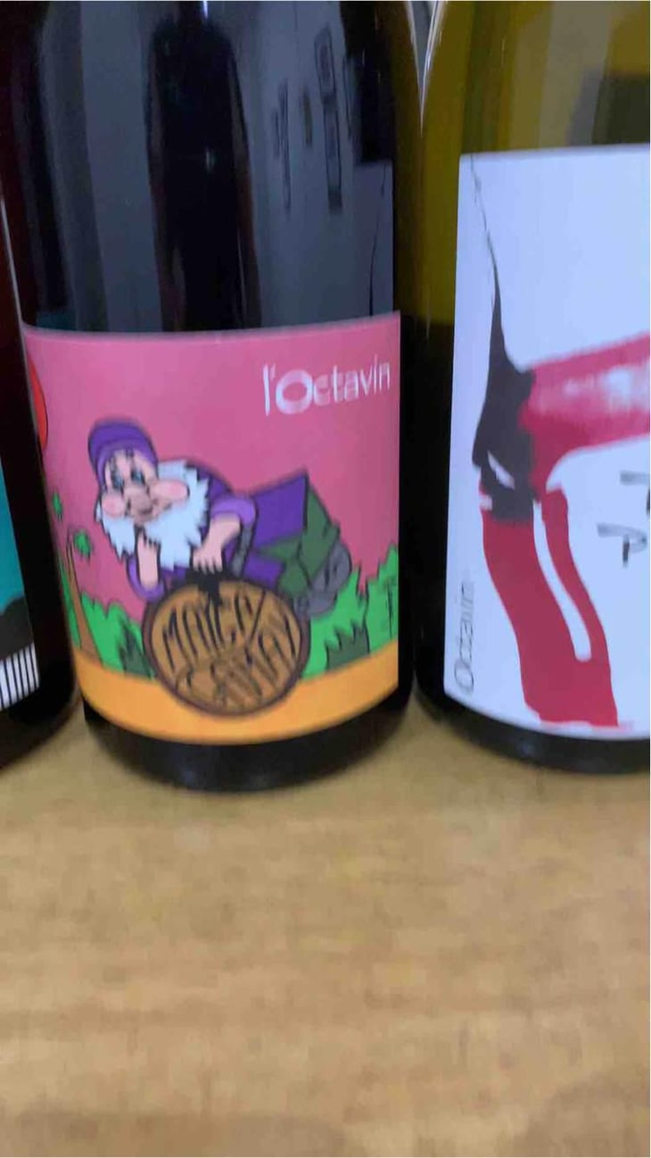 Mayga Gamay - Domaine de l'Octavin - Alice Bouvot 