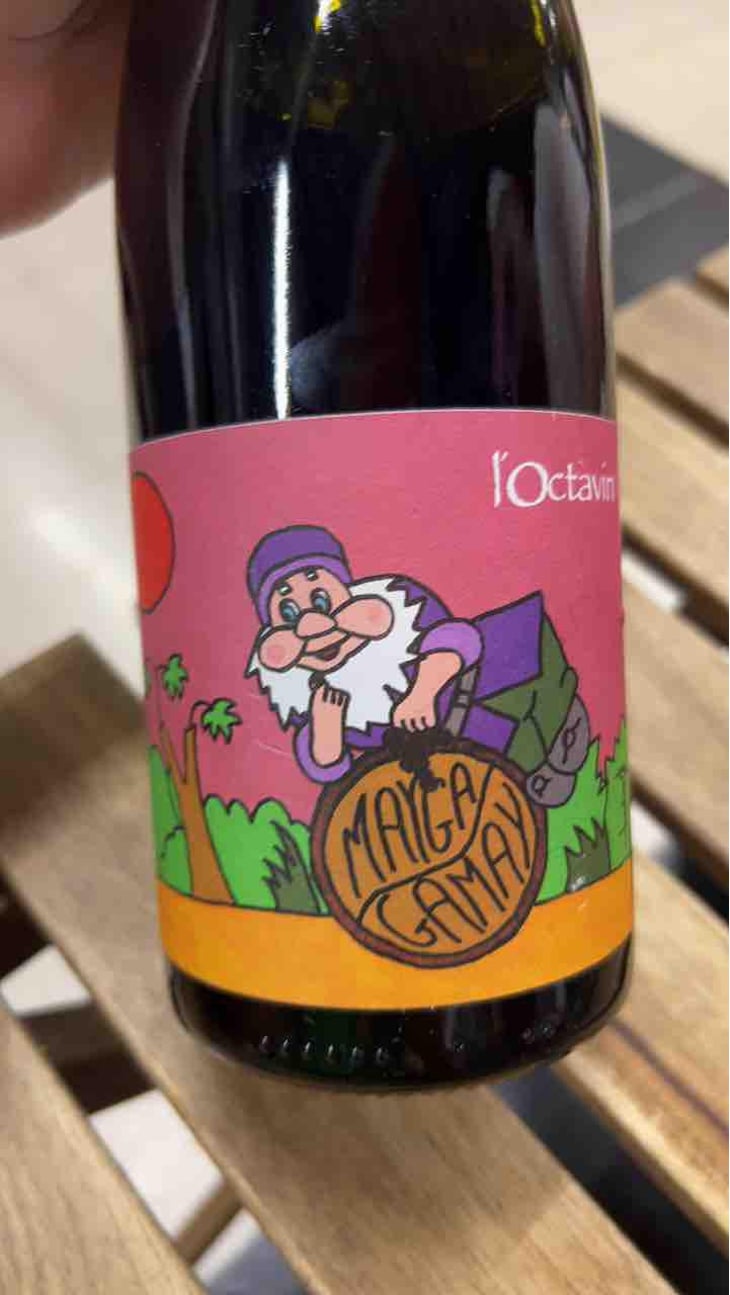 Mayga Gamay - Domaine de l'Octavin - Alice Bouvot 