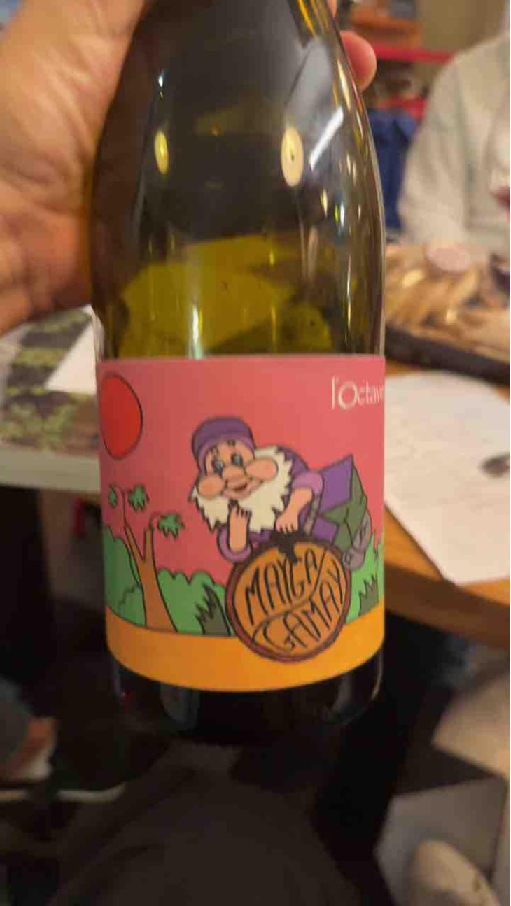 Mayga Gamay - Domaine de l'Octavin - Alice Bouvot 