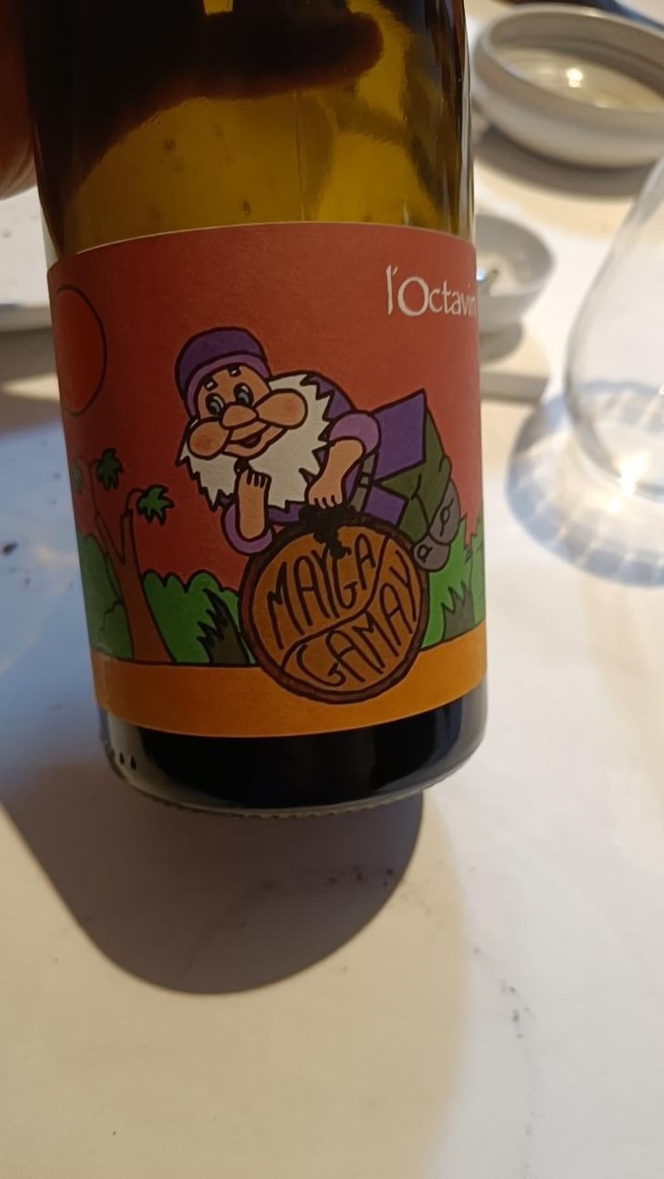 Mayga Gamay - Domaine de l'Octavin - Alice Bouvot 