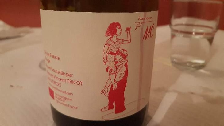 MC - Marie et Vincent Tricot - Vincent et Marie Tricot 