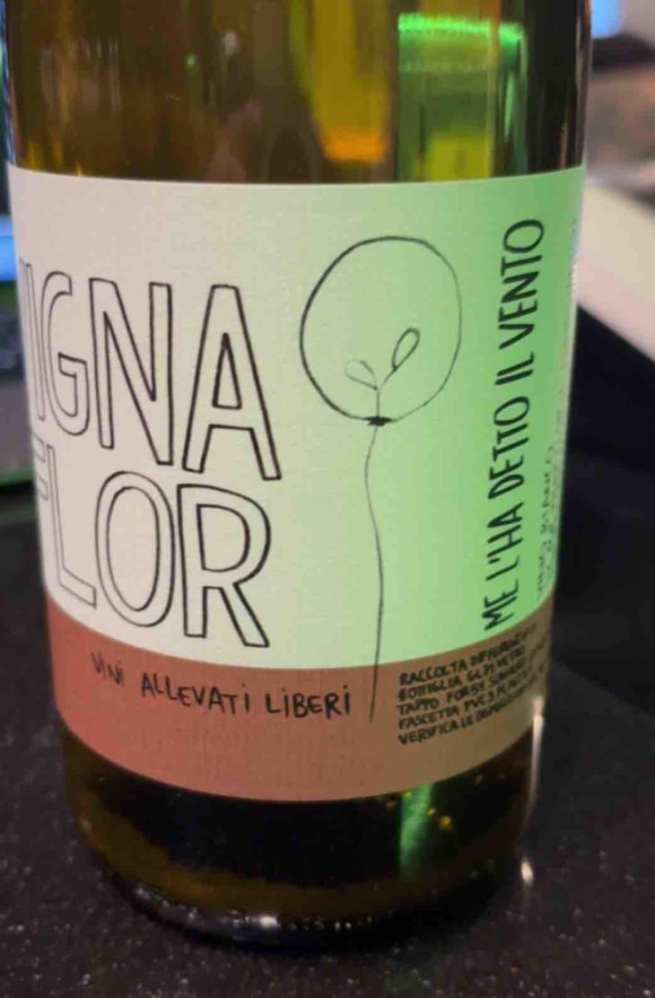Come Lunghi Baci - Vigna Flor - Francesca Gozzonspired & Davide Boldrin -2021