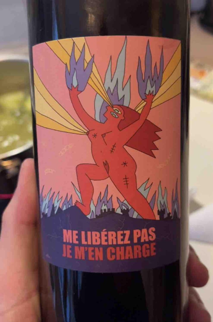 Me Libérez Pas Je M'en Charge ( X Vins et Volailles ) - La Ferme du Vert - Jacques & Jérôme Galaup -2020