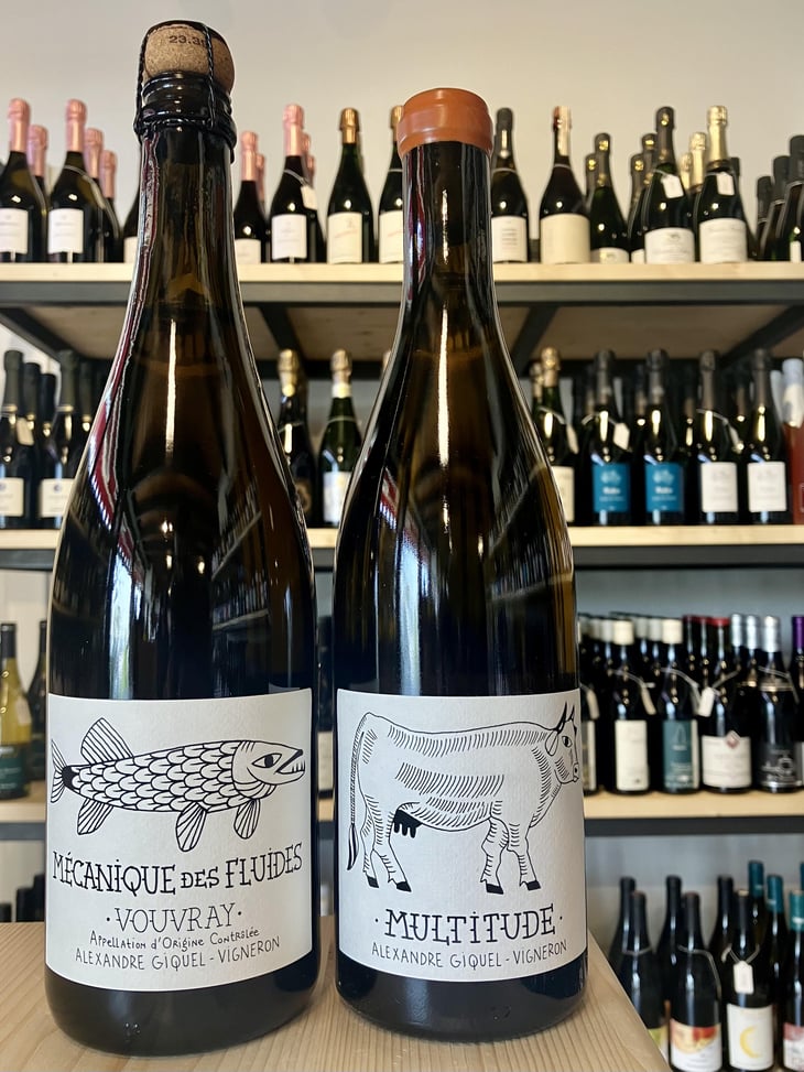 Mecanique Des Fluides - Huit-Launay - Alexandre Giquel -2019