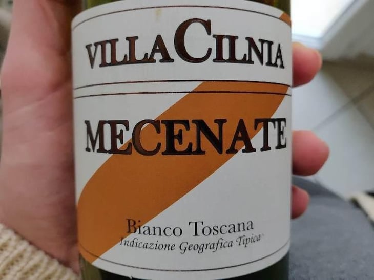 Mecenate - Villacilnia - Villa Cilnia 