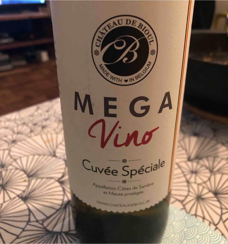 Mega Vino - Château De Bioul - Vanessa and Andy Wyckmans-Vaxelaire 