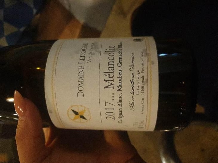 Mélancolie - Domaine Ledogar - Xavier, Mathieu & Benoît Ledogar 