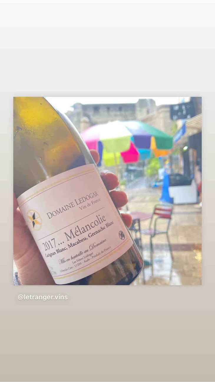 Mélancolie - Domaine Ledogar - Xavier, Mathieu & Benoît Ledogar 