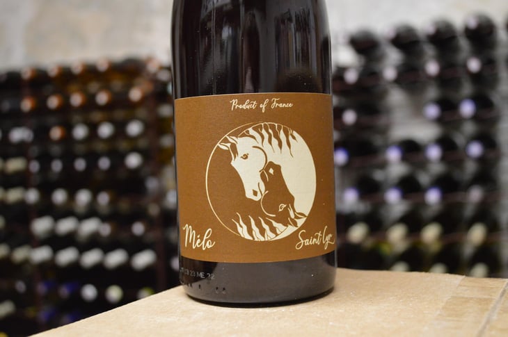 Mélo - Domaine Saint-Cyr - Raphaël Saint-Cyr 