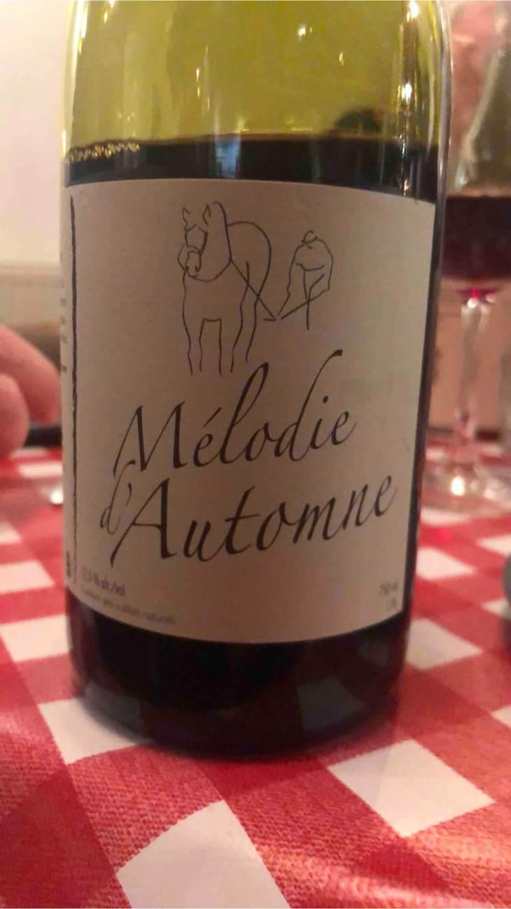 Mélodie d'Automne - Michel Guignier - Michel Guignier 