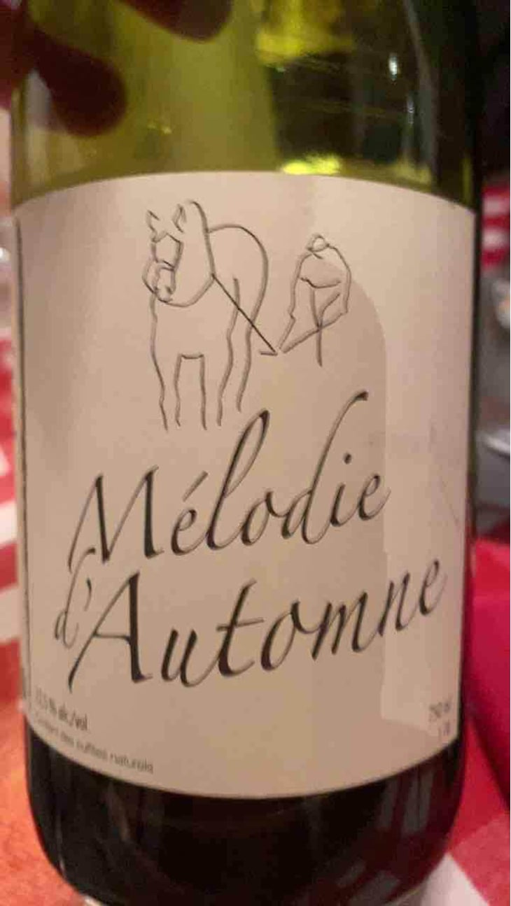 Mélodie d'Automne - Michel Guignier - Michel Guignier 