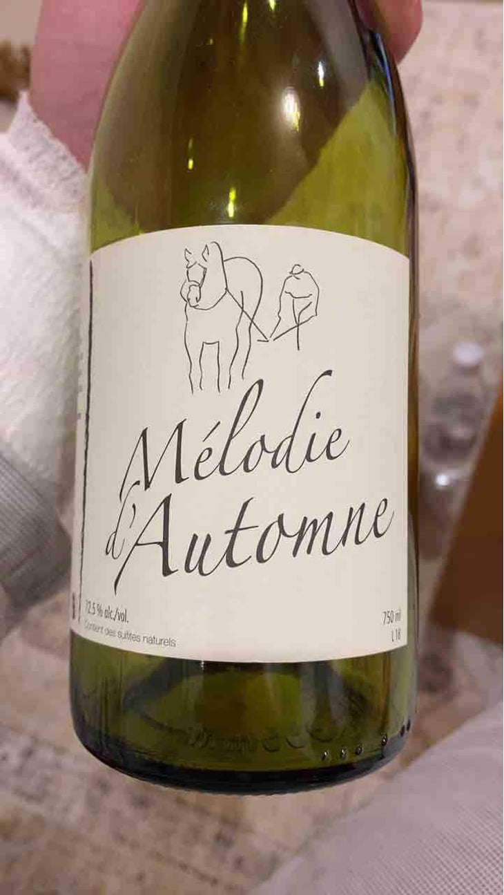 Mélodie d'Automne - Michel Guignier - Michel Guignier 