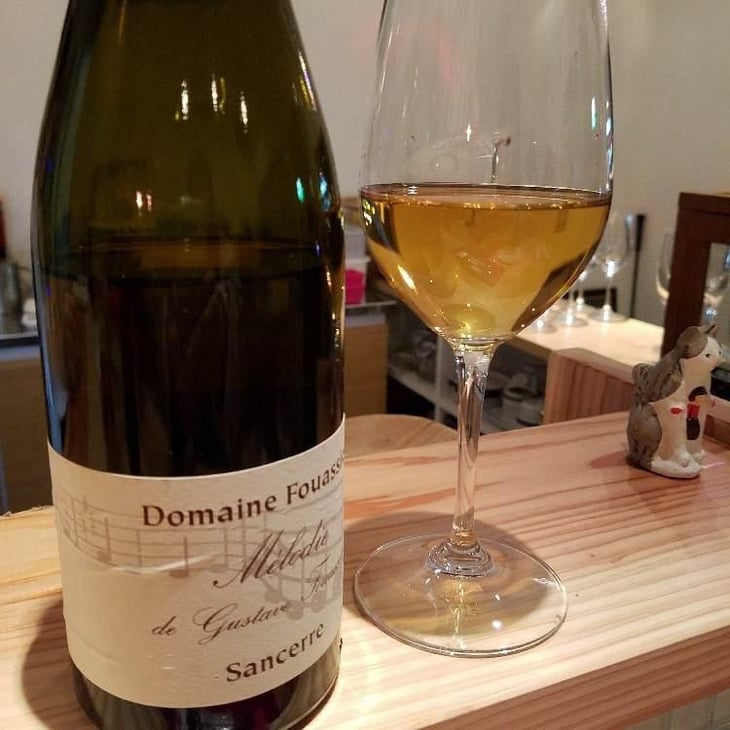 Mélodie de Gustave - Domaine Fouassier - Benoit & Paul Fouassier 