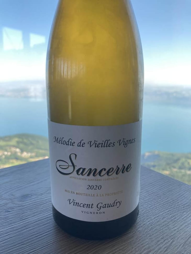 Mélodie de vieilles vignes - Vincent Gaudry - Vincent Gaudry -2020