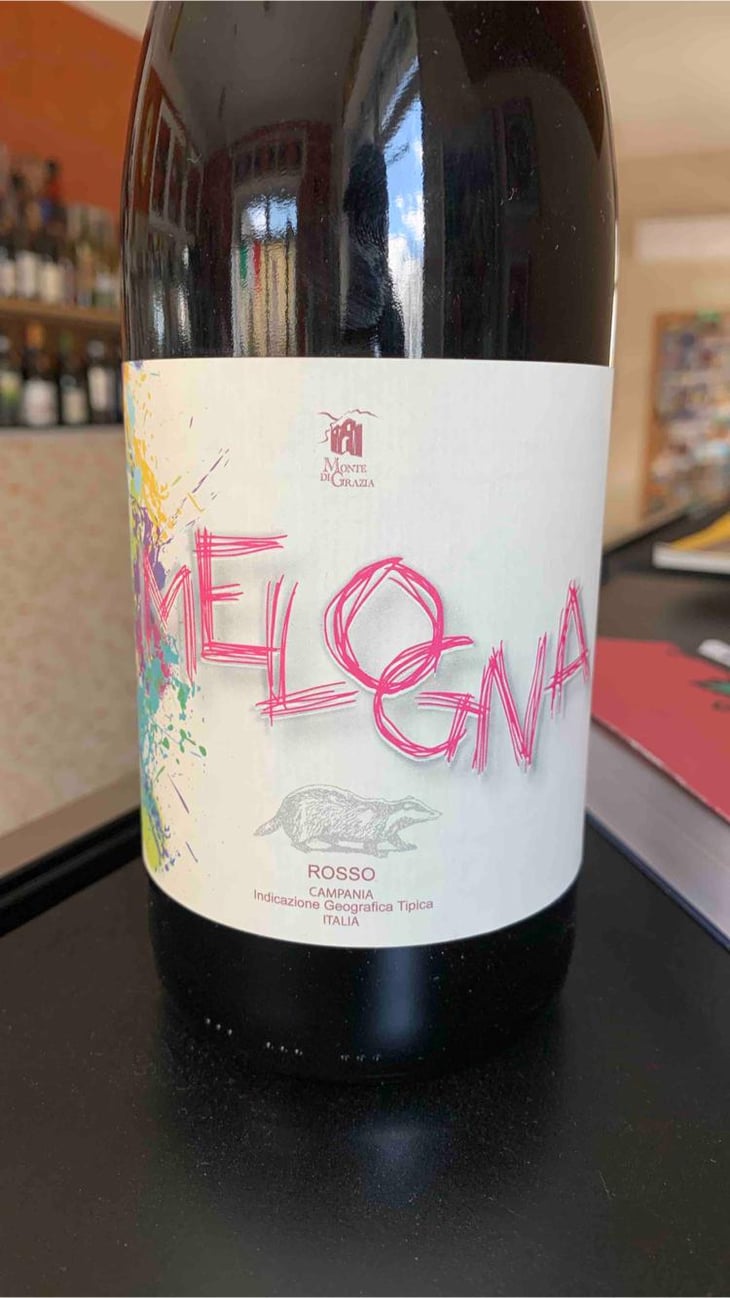 Melogna - Monte di Grazia - Alfonso Arpino 