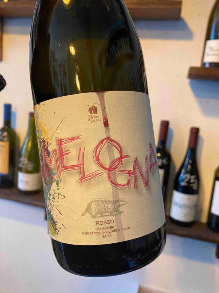 Melogna - Monte di Grazia - Alfonso Arpino 