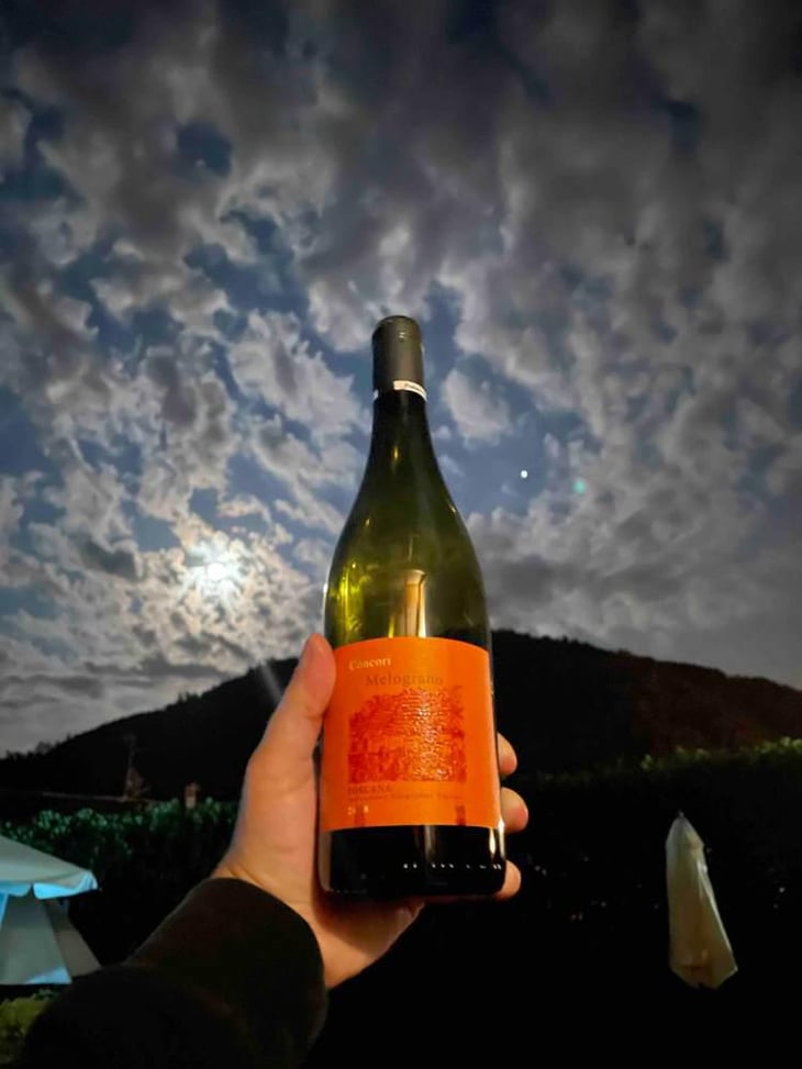 Melograno - Podere Còncori - Gabriele Da Prato 