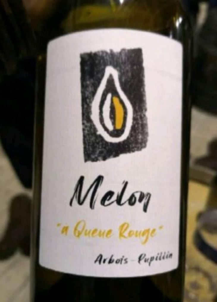 Melon à Queue Rouge - Kevin Bouillet - Kevin Bouillet -2019
