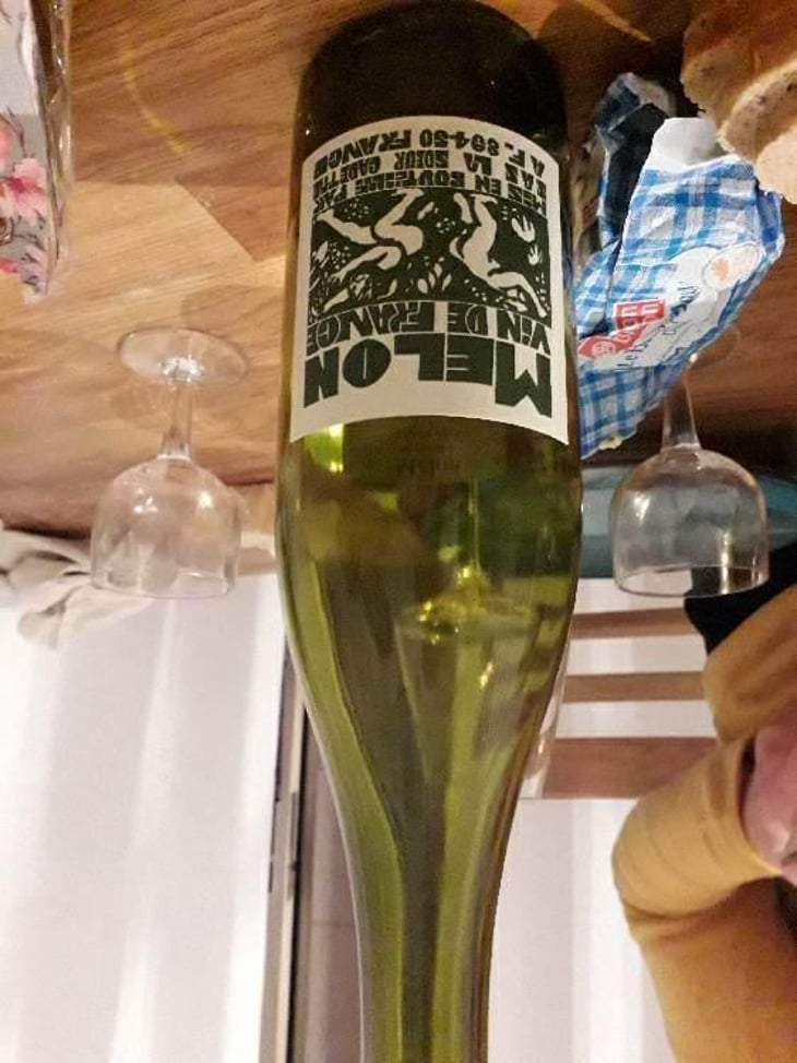 Melon - Domaine de La Soeur Cadette - Jean & Valentin Montanet 