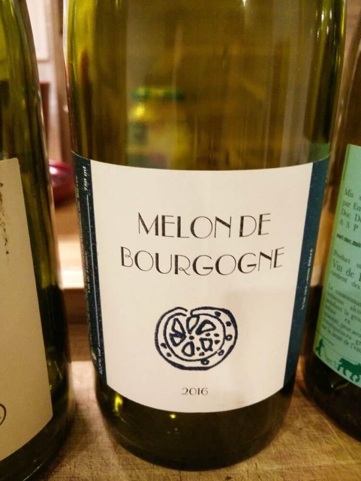 Melon de Bourgogne - Domaine POB - Pierre-Olivier Bonhomme 