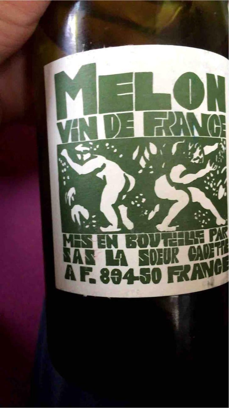 Melon - Domaine de La Soeur Cadette - Jean & Valentin Montanet 