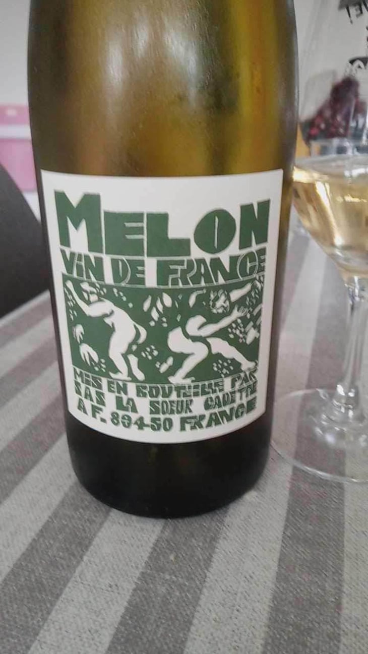 Melon - Domaine de La Soeur Cadette - Jean & Valentin Montanet 