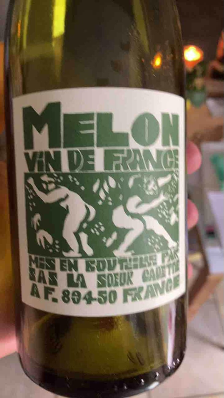 Melon - Domaine de La Soeur Cadette - Jean & Valentin Montanet 