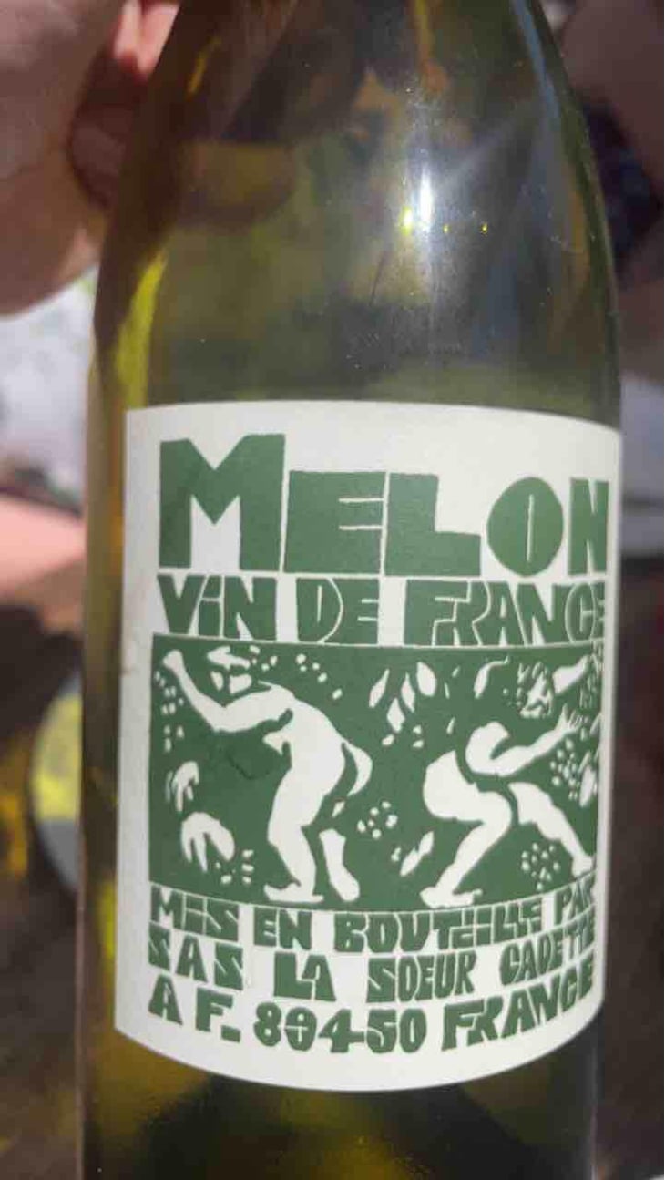 Melon - Domaine de La Soeur Cadette - Jean & Valentin Montanet 