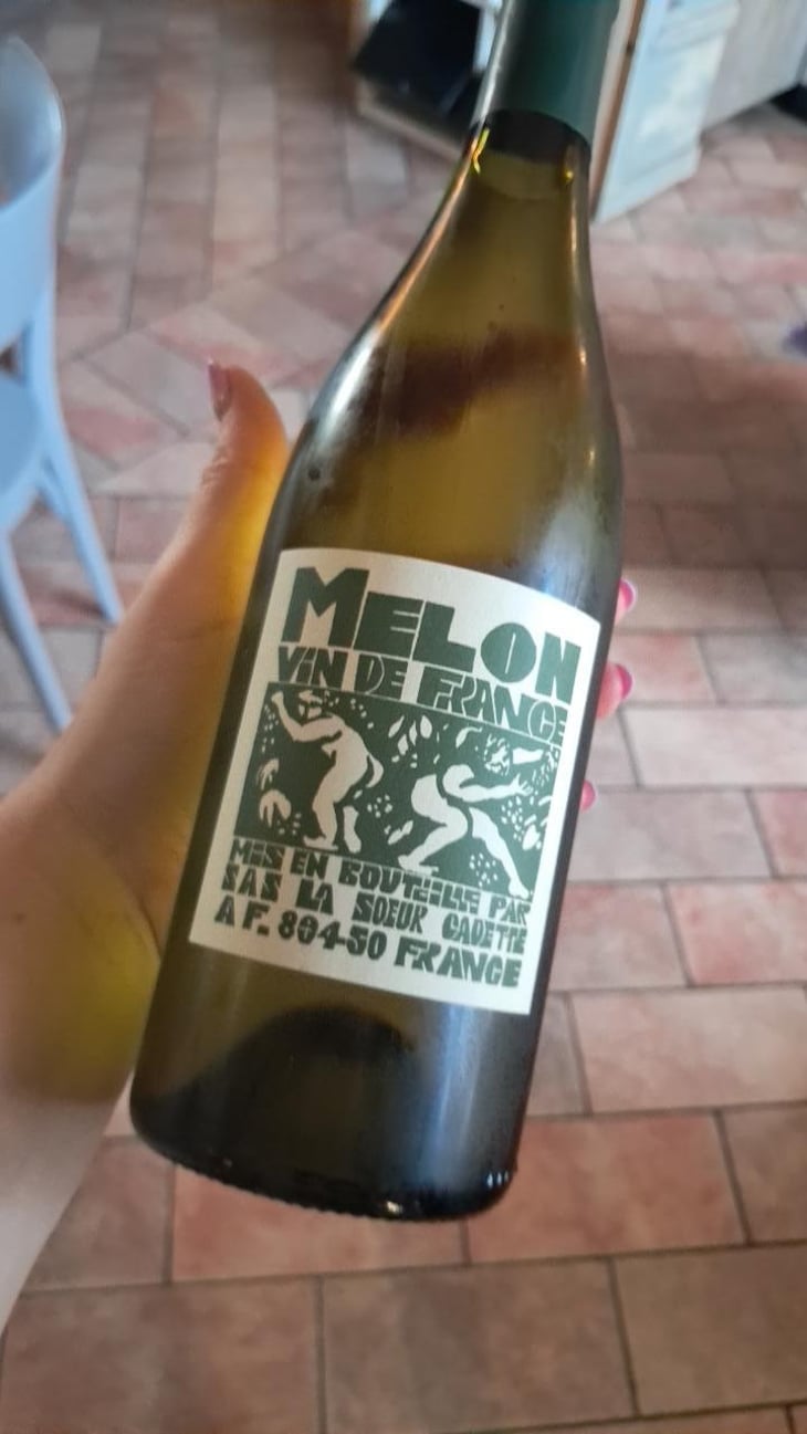 Melon - Domaine de La Soeur Cadette - Jean & Valentin Montanet 