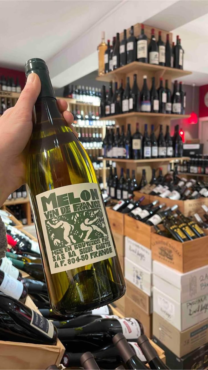 Melon - Domaine de La Soeur Cadette - Jean & Valentin Montanet 