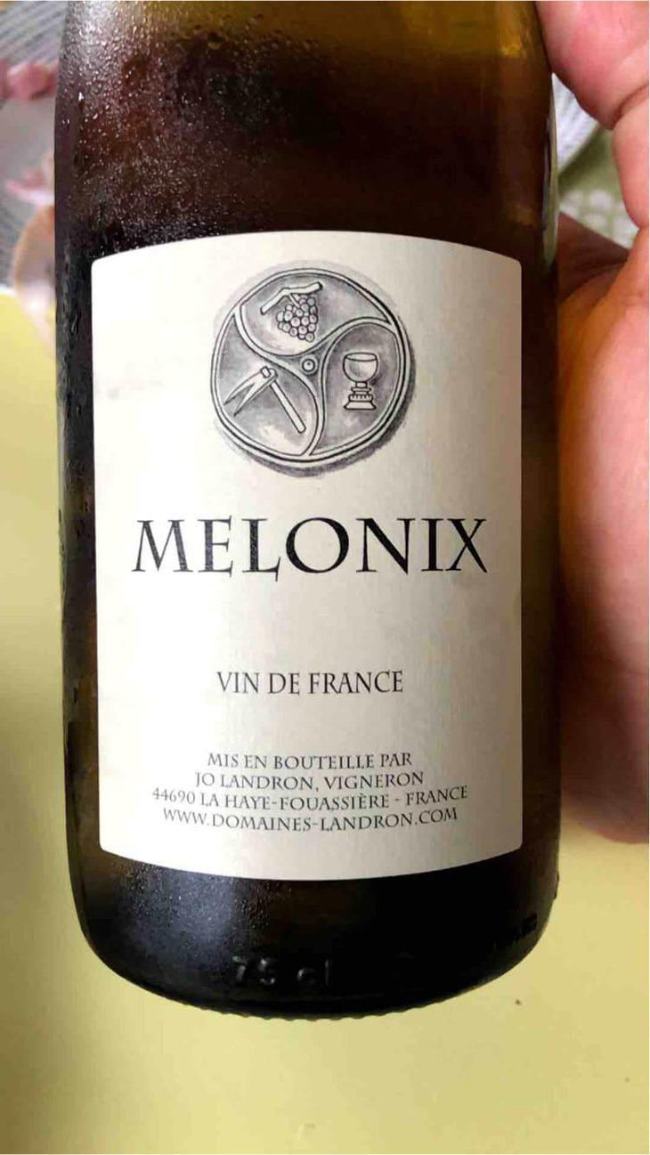 Melonix - Domaine Jo Landron - Jo Landron 