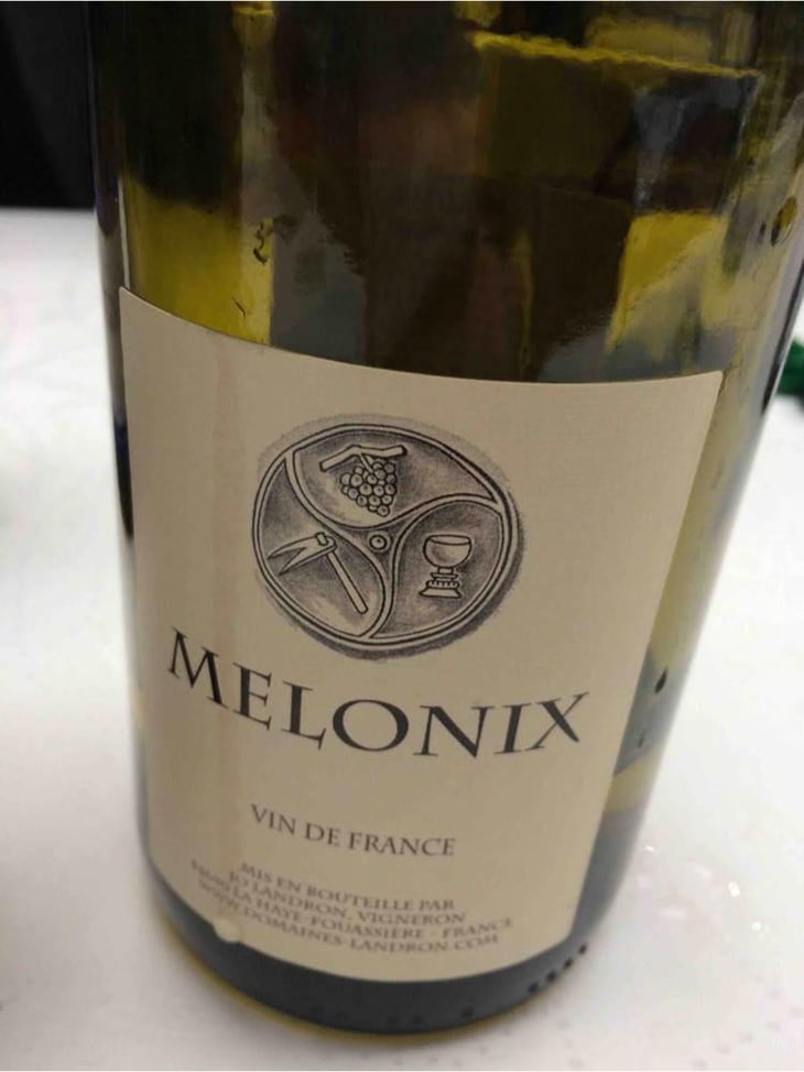 Melonix - Domaine Jo Landron - Jo Landron 