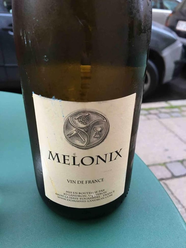 Melonix - Domaine Jo Landron - Jo Landron 