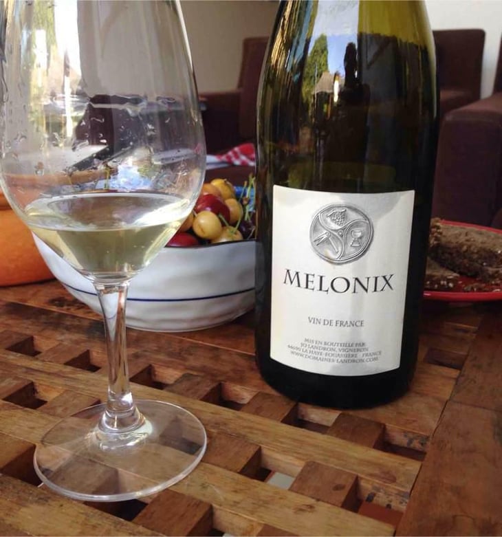 Melonix - Domaine Jo Landron - Jo Landron 