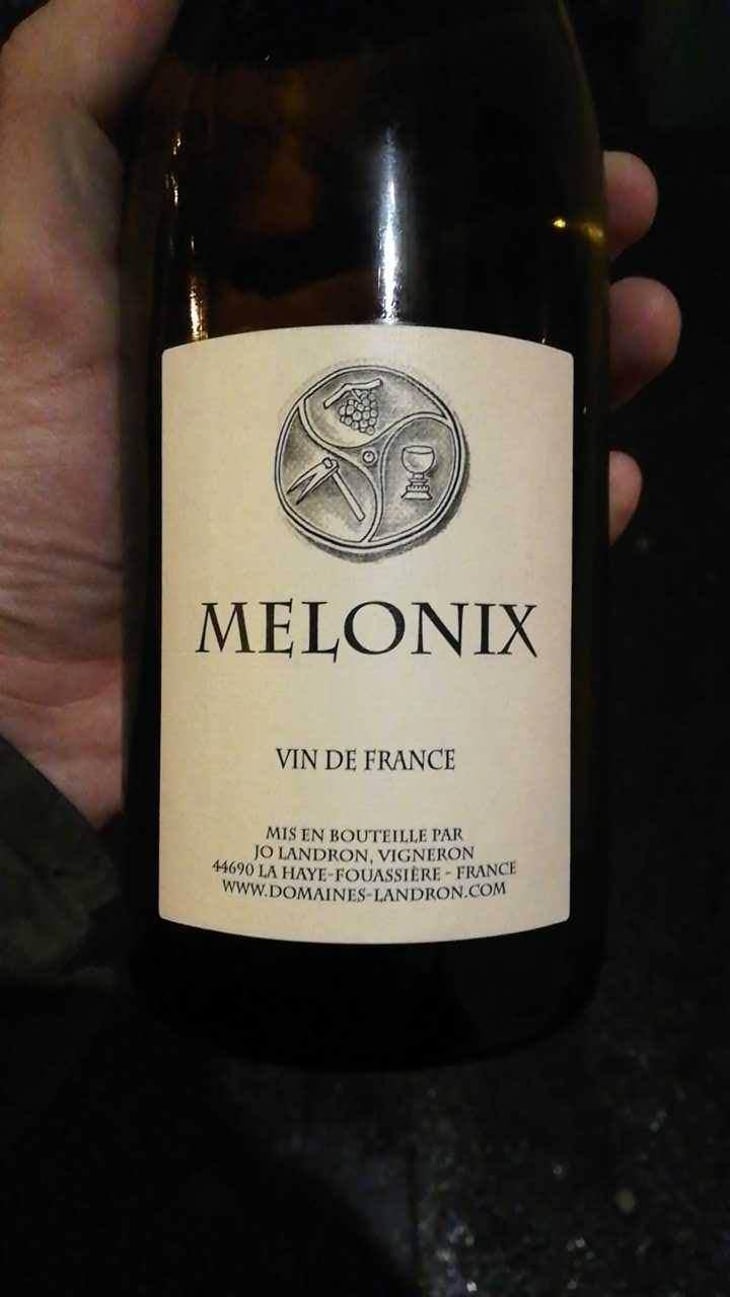 Melonix - Domaine Jo Landron - Jo Landron 