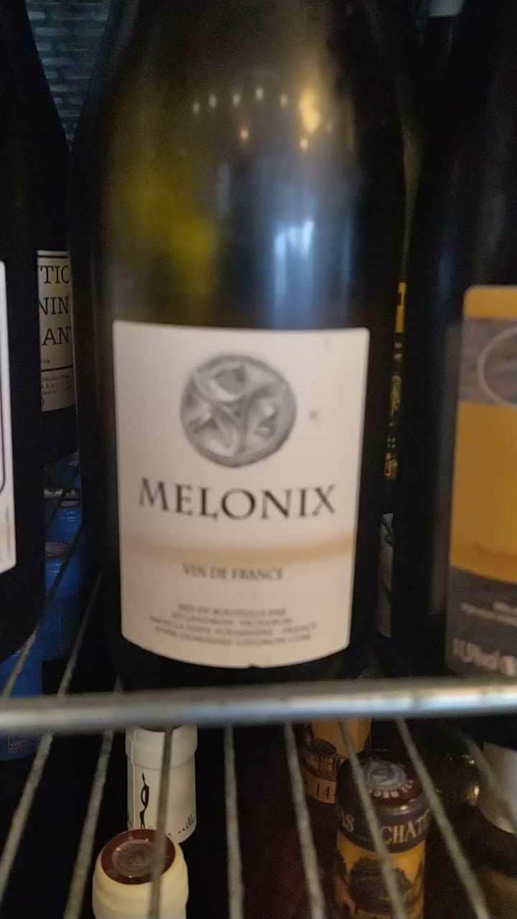 Melonix - Domaine Jo Landron - Jo Landron 