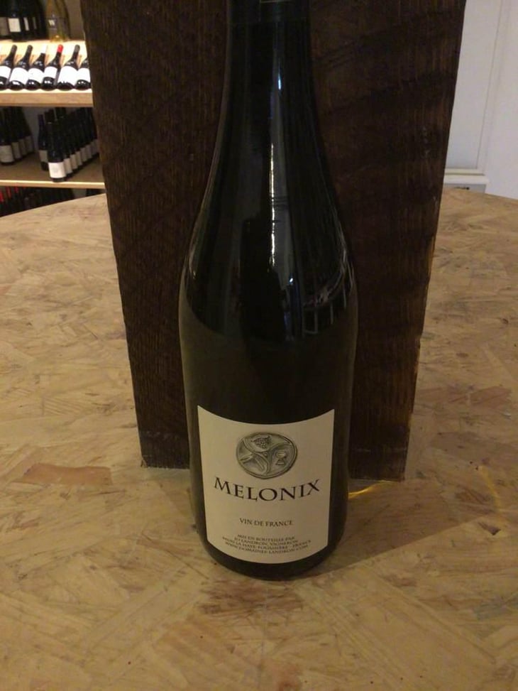 Melonix - Domaine Jo Landron - Jo Landron 