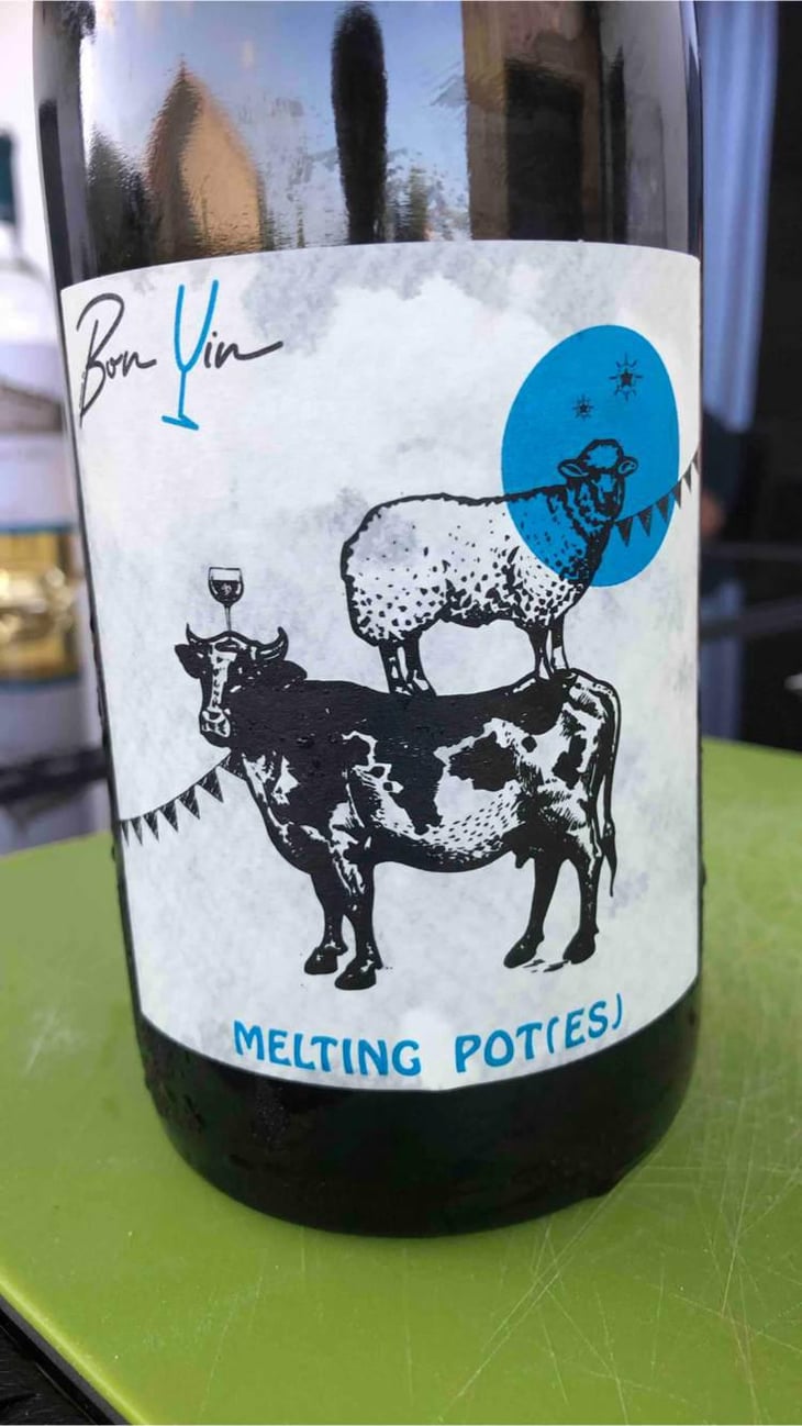 Melting Pot(es) Blanc - Domaine De Bonvin - Manu & Jean-Baptiste Roux -2019
