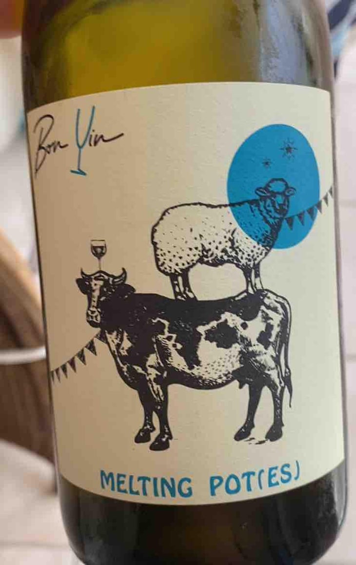 Melting Pot(es) Blanc - Domaine De Bonvin - Manu & Jean-Baptiste Roux -2019