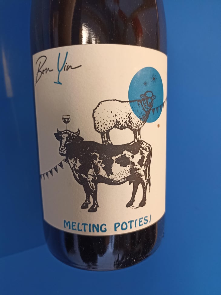 Melting Pot(es) Blanc - Domaine De Bonvin - Manu & Jean-Baptiste Roux -2019