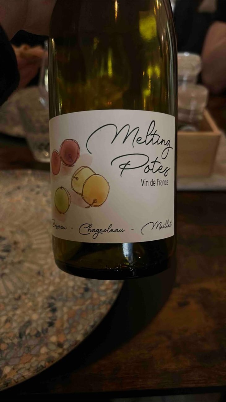 Melting Potes - Nicolas Maillet - Nicolas Maillet -2022