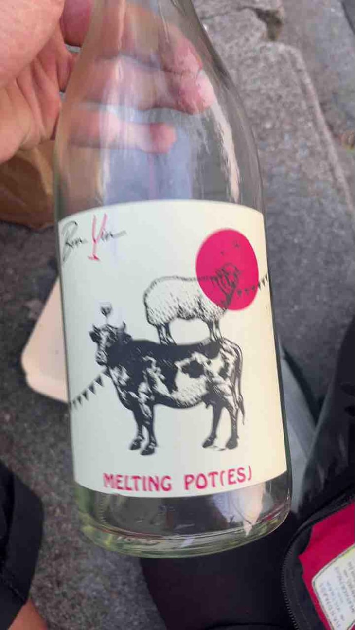 Melting Pot(es) Rouge - Domaine De Bonvin - Manu & Jean-Baptiste Roux -2019