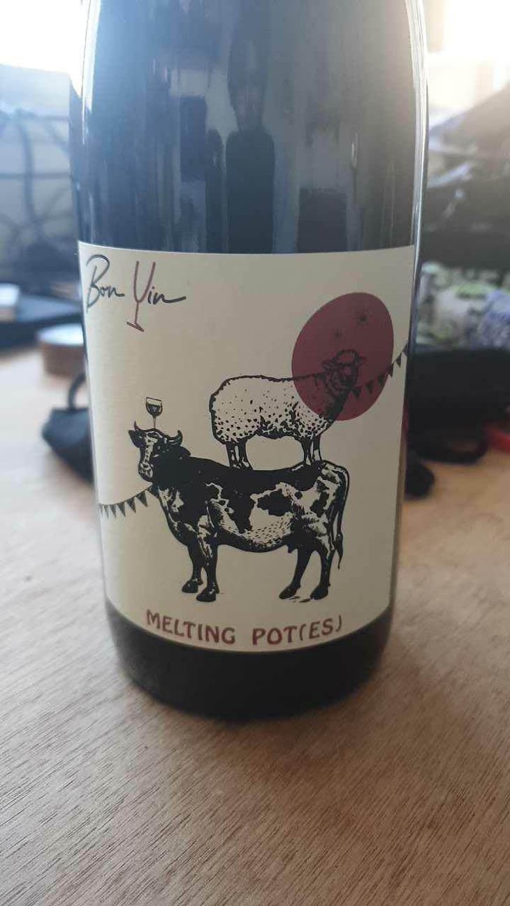 Melting Pot(es) Rouge - Domaine De Bonvin - Manu & Jean-Baptiste Roux -2019