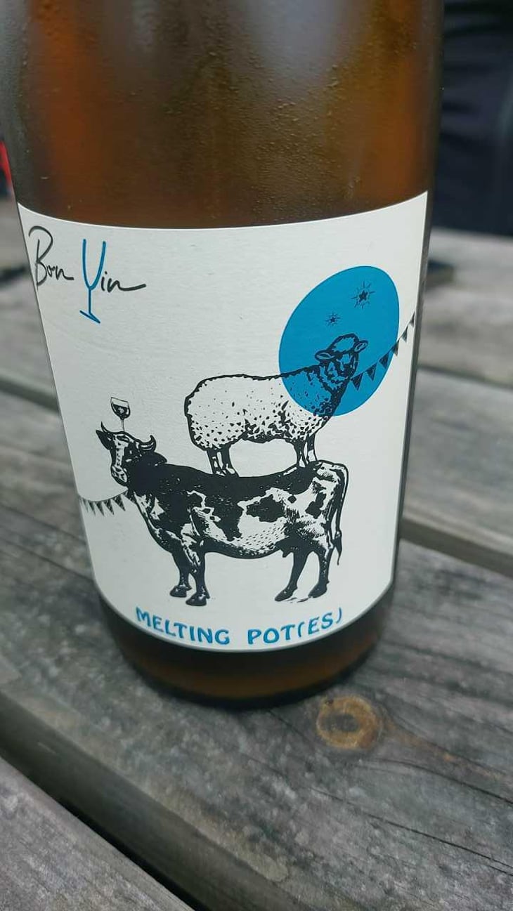 Melting Pot(es) Rouge - Domaine De Bonvin - Manu & Jean-Baptiste Roux -2019