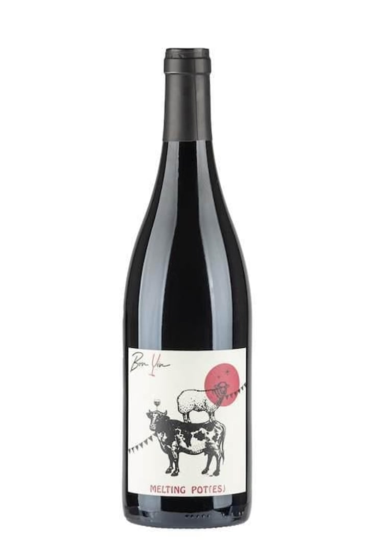 Melting Pot(es) Rouge - Domaine De Bonvin - Manu & Jean-Baptiste Roux -2019