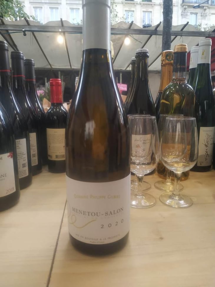 Domaine Blanc - Domaine Philippe Gilbert - Philippe Gilbert 