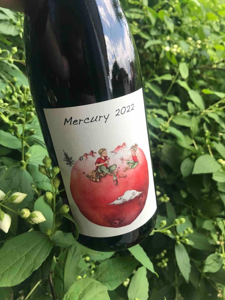 Mercury - Domaine des Petites Planètes - Guillaume Bodin -2022