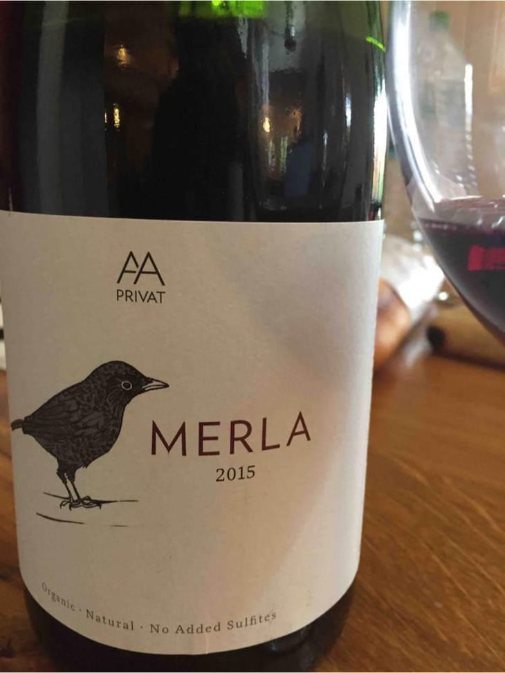 Merla - El Celler de les Aus - Josep Maria & Mireia Pujol-Busquets 