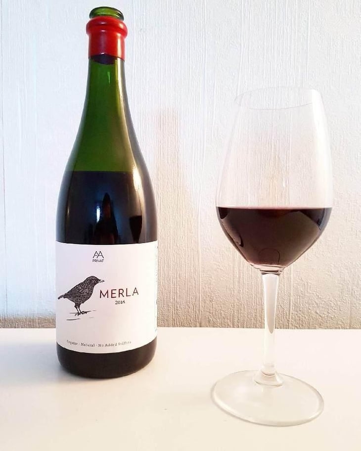 Merla - El Celler de les Aus - Josep Maria & Mireia Pujol-Busquets 